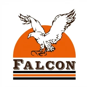 Falcon electronics brand