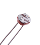 Photo Resistor Sensor LDR 5mm 5537